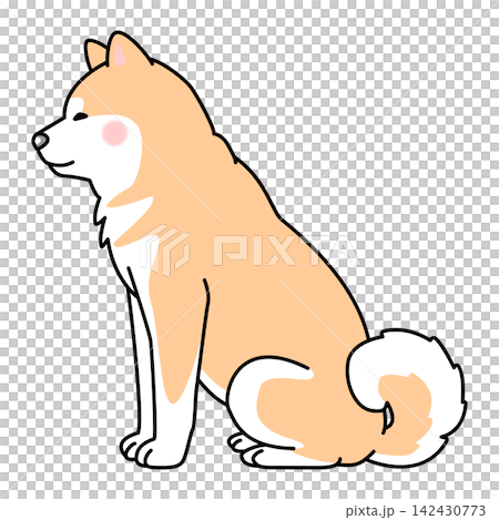 秋田犬的向量插圖(側身,坐姿)。 秋田犬的向量插圖(側身,坐姿)。 142430773