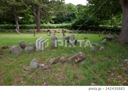 北海道小樽市　忍路環状列石 142430883