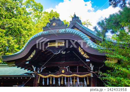 御霊神社 御霊の森のご利益:心鎮め,病気平癒,厄除開運,家内安全 御霊神社 御霊の森のご利益:心鎮め,病気平癒,厄除開運,家内安全 142431958
