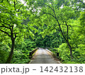 新緑に包まれた林道 142432138