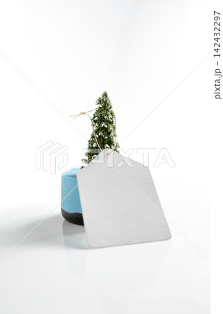 A blank white paper gift tag shaped like a house is tied to a small miniature snowy Christmas tree, isolated on a white reflective background. Mockup or Copyspace A blank white paper gift tag shaped like a house is tied to a small miniature snowy Christmas tree, isolated on a white reflective background. Mockup or Copyspace 142432297