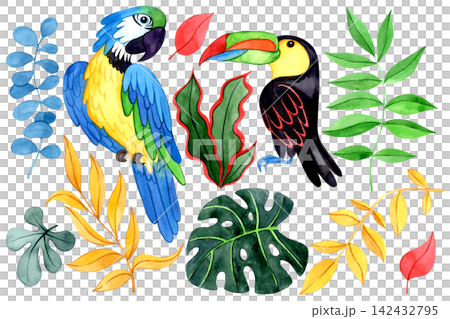 colorful set of elements tropical plant leaves and birds. Watercolor illustration. colorful set of elements tropical plant leaves and birds. Watercolor illustration. 142432795