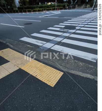 横断歩道と点字ブロック 142432826