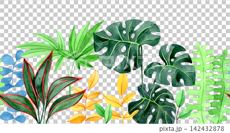 colorful seamless border of tropical plant leaves. Watercolor illustration. 142432878