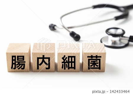 「腸内細菌」と書かれたブロックと聴診器 「腸内細菌」と書かれたブロックと聴診器 142433464