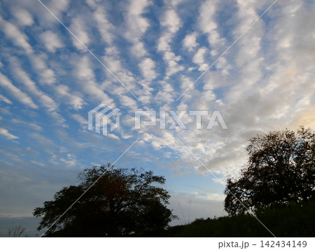 岩手県花巻市宮沢賢治が名付けたイギリス海岸の空巻積雲　鱗雲・鰯雲 142434149