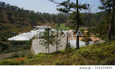 Mountain valley farm with greenhouses and fields 142434465