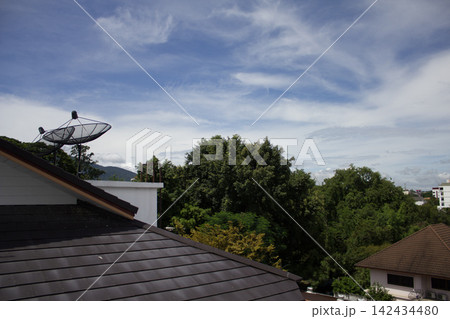 Rooftop satellite dish above lush green trees Rooftop satellite dish above lush green trees 142434480