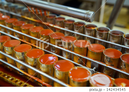 Rows of tin cans filled with tomato sauce on a conveyor belt in a factory 142434545