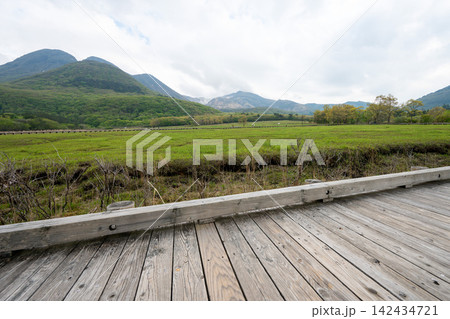 タデ原湿原の木道とくじゅう連山,大分県 タデ原湿原の木道とくじゅう連山,大分県 142434721
