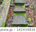 森の中の苔むした木道階段 142434816