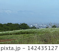 蕎麦の花咲く松本平と北アルプス　長野県松本市 142435127