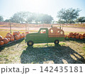 A green wooden pickup truck decoration stands among many orange pumpkins at an outdoor pumpkin patch. Bright sunlight, hay, trees, and seasonal decorations create a festive autumn scene. 142435181