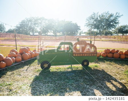 A green wooden pickup truck decoration stands among many orange pumpkins at an outdoor pumpkin patch. Bright sunlight, hay, trees, and seasonal decorations create a festive autumn scene. A green wooden pickup truck decoration stands among many orange pumpkins at an outdoor pumpkin patch. Bright sunlight, hay, trees, and seasonal decorations create a festive autumn scene. 142435181