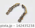 撤去冠・除去冠 142435238