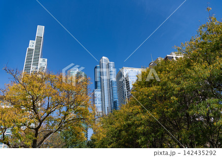 Central park autumn tree nature, New York. City park in autumn. Autumn landscape. Fall nature landscape. Autumn nature in city park. Seasonal fall landscape. New York cityscape and nature Central park autumn tree nature, New York. City park in autumn. Autumn landscape. Fall nature landscape. Autumn nature in city park. Seasonal fall landscape. New York cityscape and nature 142435292