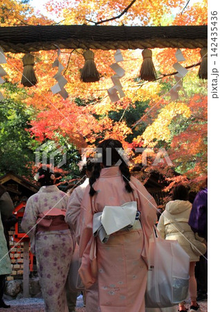 野宮神社の紅葉 野宮神社の紅葉 142435436