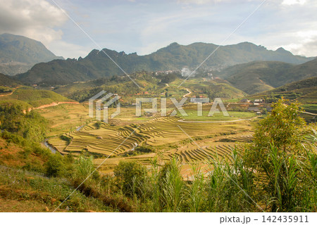 Landscape scenery near Sapa in Northern Vietnam with mountains and rice fields 142435911