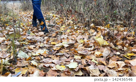 Female feet in boots going on fallen leaves at forest. Legs of young woman stepping on yellow foliage at autumn park. Girl walking along trail at wild nature. Close up Slow motion Female feet in boots going on fallen leaves at forest. Legs of young woman stepping on yellow foliage at autumn park. Girl walking along trail at wild nature. Close up Slow motion 142436546
