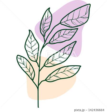 illustration of a plant 142436664