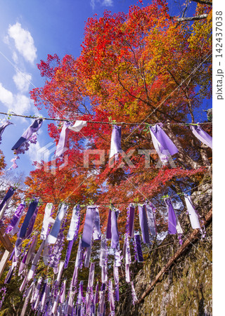 紅葉に包まれた談山神社 談山神社の紅葉の風景 奈良の紅葉の名所 奈良の観光スポット 紅葉に包まれた談山神社 談山神社の紅葉の風景 奈良の紅葉の名所 奈良の観光スポット 142437038