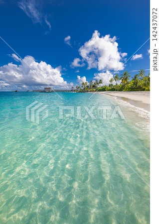 Serene powdery white shore calm vivid azure shallows blue sky soft clouds tropical island paradise coast. Summer travel vacation landscape scenic. Exotic getaway wallpaper backdrop decor Serene powdery white shore calm vivid azure shallows blue sky soft clouds tropical island paradise coast. Summer travel vacation landscape scenic. Exotic getaway wallpaper backdrop decor 142437072
