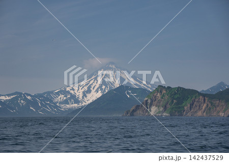 Snow-covered Vilyuchinsky Volcano rises beyond green coastal cliffs and Pacific water in Avacha Bay, Kamchatka, Russia. Wilderness, geology, nature travel, adventure. 142437529