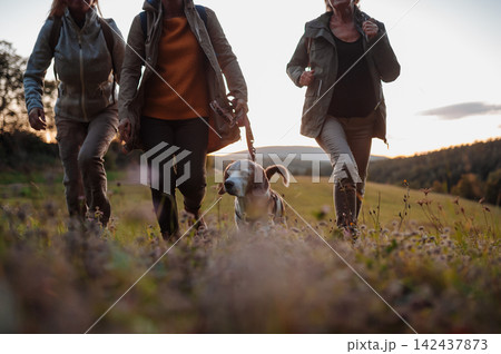 Senior women friends with dog on walk outdoors in nature. Senior women friends with dog on walk outdoors in nature. 142437873