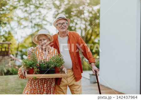 Senior couple working in garden during autumn day. Senior couple working in garden during autumn day. 142437964