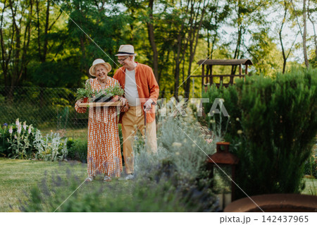 Senior couple working in garden during autumn day. Senior couple working in garden during autumn day. 142437965