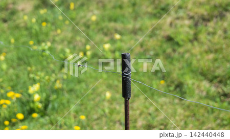 Electric Fence Wire for Livestock Control in Rural Field 142440448