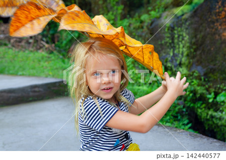Young child under giant tropical leaf while exploring jungle in Bali, Indonesia. The vivid green backdrop, ancient stones create a playful and mysterious moment of nature at family travel adventure. 142440577