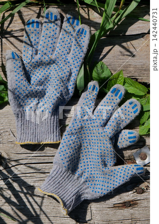 Pair of gardening gloves on wooden planks with green plants. vertical Pair of gardening gloves on wooden planks with green plants. vertical 142440731
