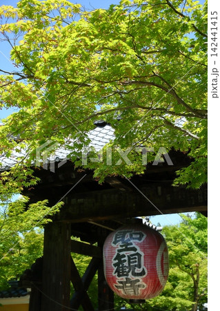 金剛輪寺 新緑の提灯 金剛輪寺 新緑の提灯 142441415