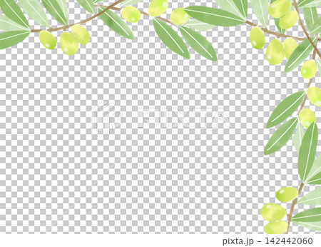 オリーブの枝の水彩風背景イラスト オリーブの枝の水彩風背景イラスト 142442060