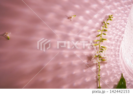 small white flowers on a pink background small white flowers on a pink background 142442153