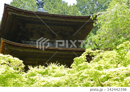 金剛輪寺 新緑の三重塔 金剛輪寺 新緑の三重塔 142442396