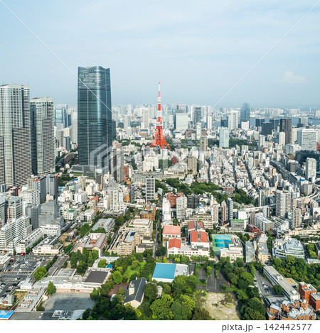 Panoramic aerial view of tokyo tower and cityscape skyline under clear blue sky in Roppongi hills, japan with copy space 142442577