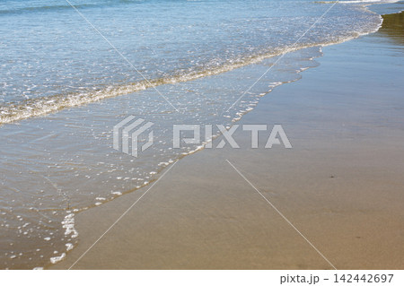 マリンパーク磯の浦 142442697