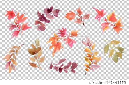 A set of hand-painted watercolor illustrations of autumn leaves and foliage. A set of hand-painted watercolor illustrations of autumn leaves and foliage. 142443556