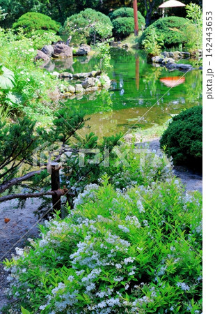 北海道紀行　　　6月の真鍋庭園　　　春の真鍋庭園 142443653
