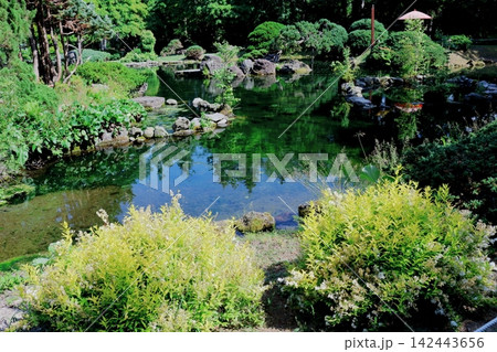 北海道紀行　　　6月の真鍋庭園　　　春の真鍋庭園 142443656
