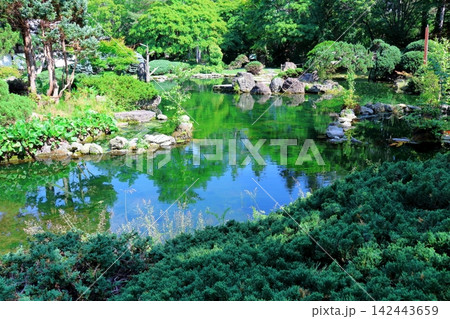 北海道紀行　　　6月の真鍋庭園　　　春の真鍋庭園 142443659