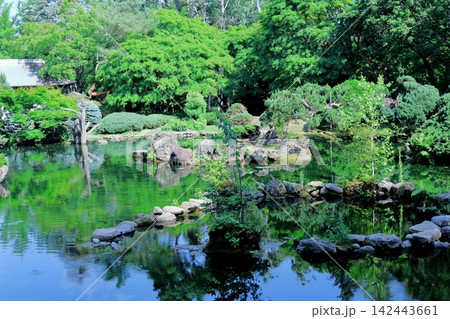 北海道紀行　　　6月の真鍋庭園　　　春の真鍋庭園 142443661