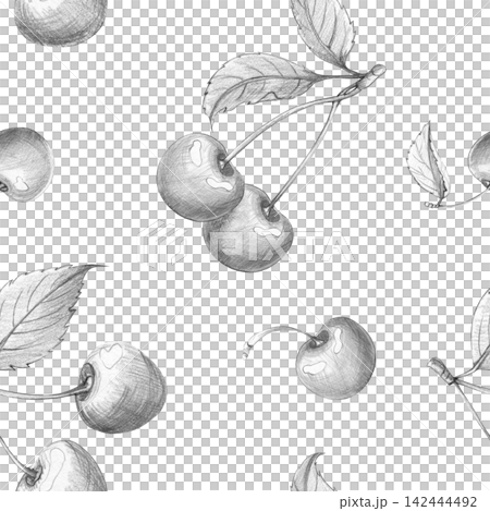 Seamless cherry pattern. Hand-drawn pencil sketch for textile design, organic food packaging, jam labels, and bakery. Realistic illustrations berry to summer-themed designs, natural product on white Seamless cherry pattern. Hand-drawn pencil sketch for textile design, organic food packaging, jam labels, and bakery. Realistic illustrations berry to summer-themed designs, natural product on white 142444492