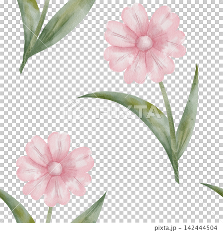 Seamless watercolor pattern with pink flowers with green stems and leaves on white background. For nursery wallpaper, cosmetics packaging and textile designs, botanical backdrop, holiday Seamless watercolor pattern with pink flowers with green stems and leaves on white background. For nursery wallpaper, cosmetics packaging and textile designs, botanical backdrop, holiday 142444504