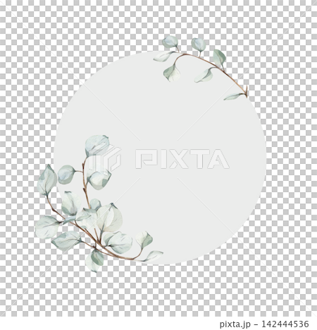 Frame with delicate watercolor eucalyptus leaves, light grey circle, soft botanical illustration for elegant wedding invitations or rustic design templates, cosmetics packaging, copy space Frame with delicate watercolor eucalyptus leaves, light grey circle, soft botanical illustration for elegant wedding invitations or rustic design templates, cosmetics packaging, copy space 142444536