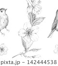 Seamless pattern of hand-drawn pencil sketch with small birds and Sakura cherry blossom branches on white background for elegant vintage nature textile and wallpaper design 142444538
