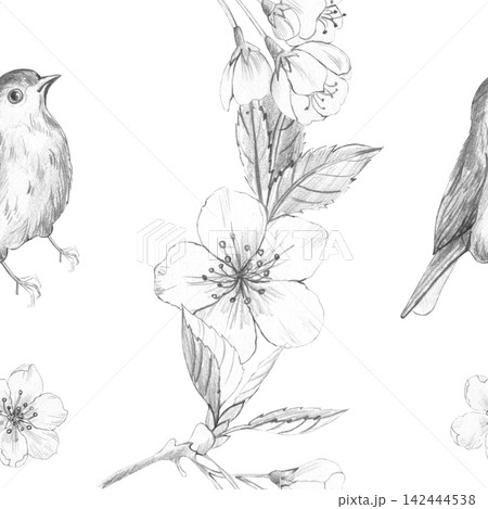 Seamless pattern of hand-drawn pencil sketch with small birds and Sakura cherry blossom branches on white background for elegant vintage nature textile and wallpaper design Seamless pattern of hand-drawn pencil sketch with small birds and Sakura cherry blossom branches on white background for elegant vintage nature textile and wallpaper design 142444538