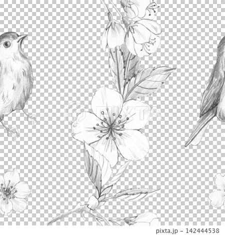 Seamless pattern of hand-drawn pencil sketch with small birds and Sakura cherry blossom branches on white background for elegant vintage nature textile and wallpaper design Seamless pattern of hand-drawn pencil sketch with small birds and Sakura cherry blossom branches on white background for elegant vintage nature textile and wallpaper design 142444538